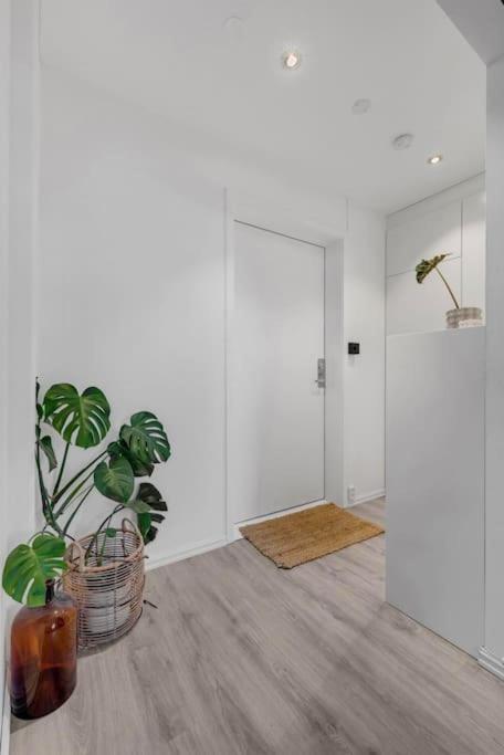 Appartement Newly Renovated - Oslo Downtown Extérieur photo